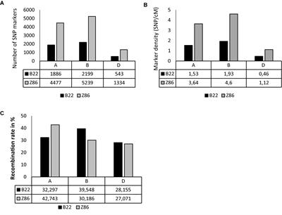 Genetic Analysis and Transfer of Favorable Exotic QTL Alleles for Grain Yield Across D Genome Using Two Advanced Backcross Wheat Populations